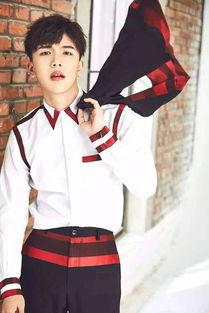 王振宇爆料完整版视频大全,揭秘事件真相与幕后黑幕  第3张