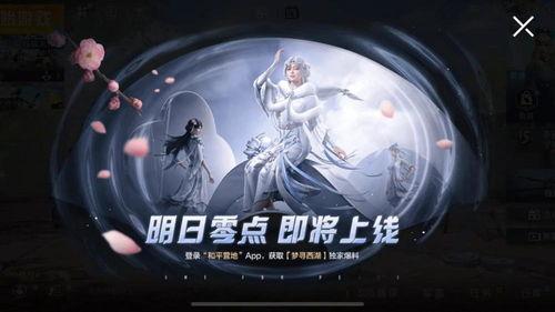 吃鸡人物皮肤爆料最新,吃鸡人物皮肤全新爆料，视觉盛宴即将来袭！  第1张